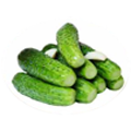 Light-salted cucumber in Batumi in Blue Wave