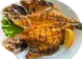 Dorado grilled in Batumi in Blue Wave