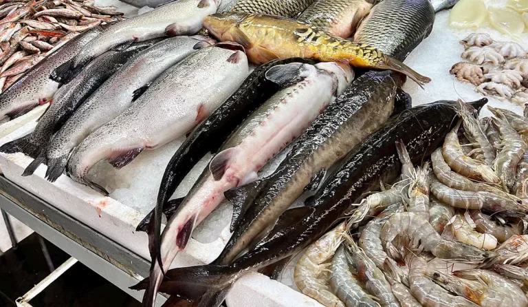 Seafood market in Batumi - Blue Wave